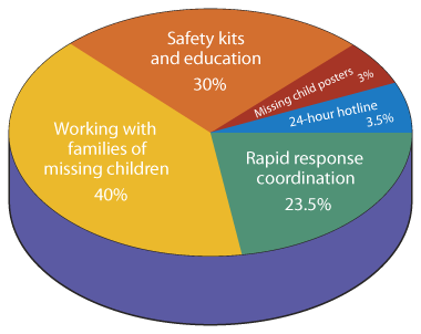 donation-pie-chart